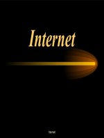 Bai giang internet- web