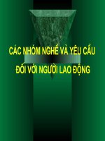Nhóm Ngề-Y.cầu của ng.L.động