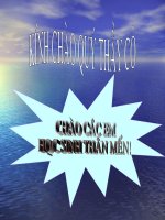 Tiết 44: Tổng kết từ vựng