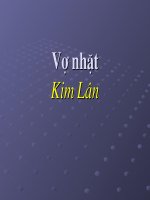 vo nhat