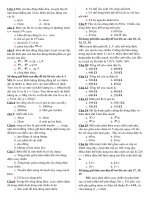 40cau hoi trac nhiem co dap an