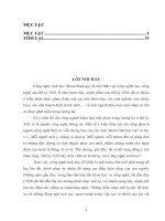 kỹ thuật DAN tái tổ hợp
