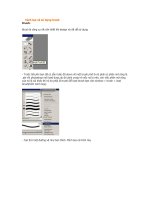 Cách tạo và sử dụng Brush trong Photohop