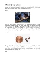 10 sinh vật gây hại nhất trên thế giới