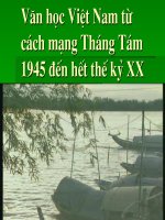 van hoc viet nam tu 1945 den het the ky XX