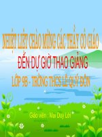 Tiết 101: Đọc hiểu văn bản Đò lèn