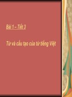 Bài 3.Từ và cấu tạo từ tiếng Việt
