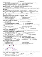 thi thử tốt nghiệp theo cấu trúc của bộ