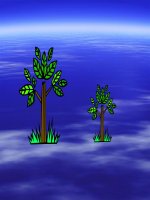 biến dạnh của thân