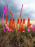 TIẾT 23,24 HOÀNG LÊ NHẤT THỐNG CHÍ