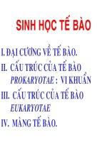 003-Ch3-CautrucTebao-24-9-06