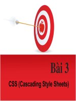 CSS (Cascading Style Sheets)