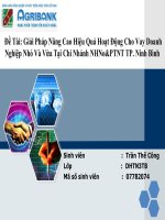 Giải Pháp Nâng Cao Hiệu Quả Hoạt Động Cho Vay Doanh Nghiệp Nhỏ Và Vừa Tại Chi Nhánh NHNo&PTNT TP. Ninh Bình