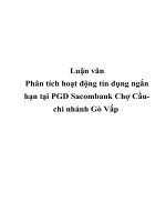 Phân tích hoạt động tín dụng ngắn hạn tại PGD Sacombank Chợ Cầu-chi nhánh Gò Vấp