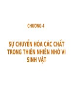 Tài liệu SỰ CHUYỂN HÓA CÁC CHẤT TRONG THIÊN NHIÊN NHỜ VI SINH VẬT doc