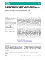 Tài liệu Báo cáo khoa học: C-Terminal extension of a plant cysteine protease modulates proteolytic activity through a partial inhibitory mechanism doc