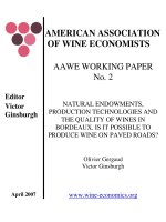 Tài liệu NATURAL ENDOWMENTS, PRODUCTION TECHNOLOGIES AND THE QUALITY OF WINES IN BORDEAUX. IS IT POSSIBLE TO PRODUCE WINE ON PAVED ROADS? pot