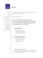 Tài liệu Assessment of the AHRQ Patient Safety Initiative pptx