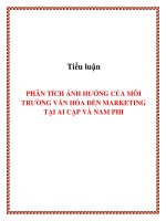 Tài liệu Tiểu luận: PHÂN TÍCH ẢNH HƯỞNG CỦA MÔI TRƯỜNG VĂN HÓA ĐẾN MARKETING TẠI AI CẬP VÀ NAM PHI ppt