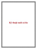 ky thuat nuoi ca loc