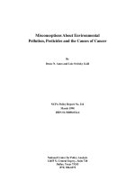 Tài liệu Misconceptions About Environmental Pollution, Pesticides and the Causes of Cancer doc