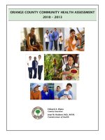 Tài liệu ORANGE COUNTY COMMUNITY HEALTH ASSESSMENT 2010 - 2013 doc