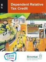 Tài liệu Dependent Relative Tax Credit pdf