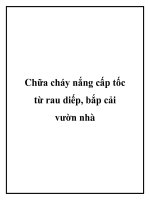 Tài liệu Chữa cháy nắng cấp tốc từ rau diếp, bắp cải vườn nhà pdf