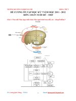 Đề cương chăn nuôi dê và thỏ