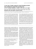 Tài liệu Báo cáo khoa học: A novel type of highly negatively charged lipooligosaccharide from Pseudomonas stutzeri OX1 possessing two 4,6-O-(1-carboxy)-ethylidene residues in the outer core region ppt