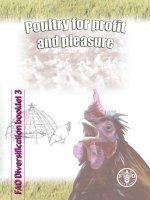 Tài liệu POULTRY FOR PROFIT AND PLEASURE docx