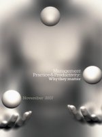Tài liệu Management Practice & Productivity: Why they matter pdf