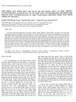 Tài liệu Báo cáo 