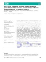 Tài liệu Báo cáo khoa học: P25a ⁄ TPPP expression increases plasma membrane presentation of the dopamine transporter and enhances cellular sensitivity to dopamine toxicity pptx