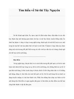 Tài liệu Tìm hiểu về Sử thi Tây Nguyên pdf