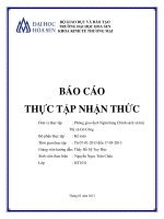 báo cáo thực tập nhận thức phòng giao dịch ngân hàng chính sách xã hội thị xã gò công