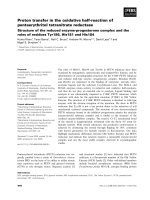 Tài liệu Báo cáo khoa học: Proton transfer in the oxidative half-reaction of pentaerythritol tetranitrate reductase Structure of the reduced enzyme-progesterone complex and the roles of residues Tyr186, His181 and His184 pdf