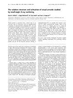 Tài liệu Báo cáo Y học: The solution structure and activation of visual arrestin studied by small-angle X-ray scattering pot