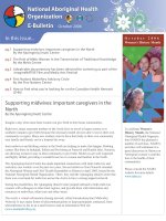Tài liệu National Aboriginal Health Organization E-Bulletin docx