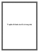 Tài liệu Ý nghĩa tốt lành của bể cá trong nhà docx