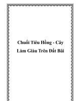Tài liệu Chuối Tiêu Hồng - Cây Làm Giàu Trên Đất Bãi doc