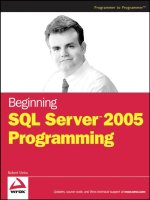 Tài liệu Beginning SQL Server 2005 Programming doc