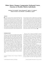 Tài liệu White Matter Changes Compromise Prefrontal Cortex Function in Healthy Elderly Individuals docx