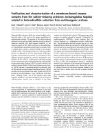Tài liệu Báo cáo khoa học: Puriﬁcation and characterization of a membrane-bound enzyme complex from the sulfate-reducing archaeon Archaeoglobus fulgidus related to heterodisulﬁde reductase from methanogenic archaea pdf