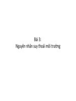 NGUYÊN NHÂN SUY THOÁI MÔI TRƯỜNG