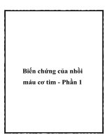 Tài liệu Biến chứng của nhồi máu cơ tim - Phần 1 pot
