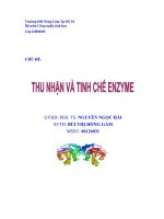 Tài liệu Tiểu luận:Thu nhận và tinh chế enzyme ppt