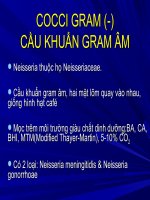 Tài liệu COCCI GRAM (-) CẦU KHUẨN GRAM ÂM docx