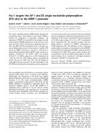 Tài liệu Báo cáo khoa học: Fra-1 targets the AP-1 site/2G single nucleotide polymorphism (ETS site) in the MMP-1 promoter docx