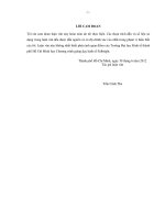 Phân tích lợi ích và chi phí của Dự án Cầu Phước An